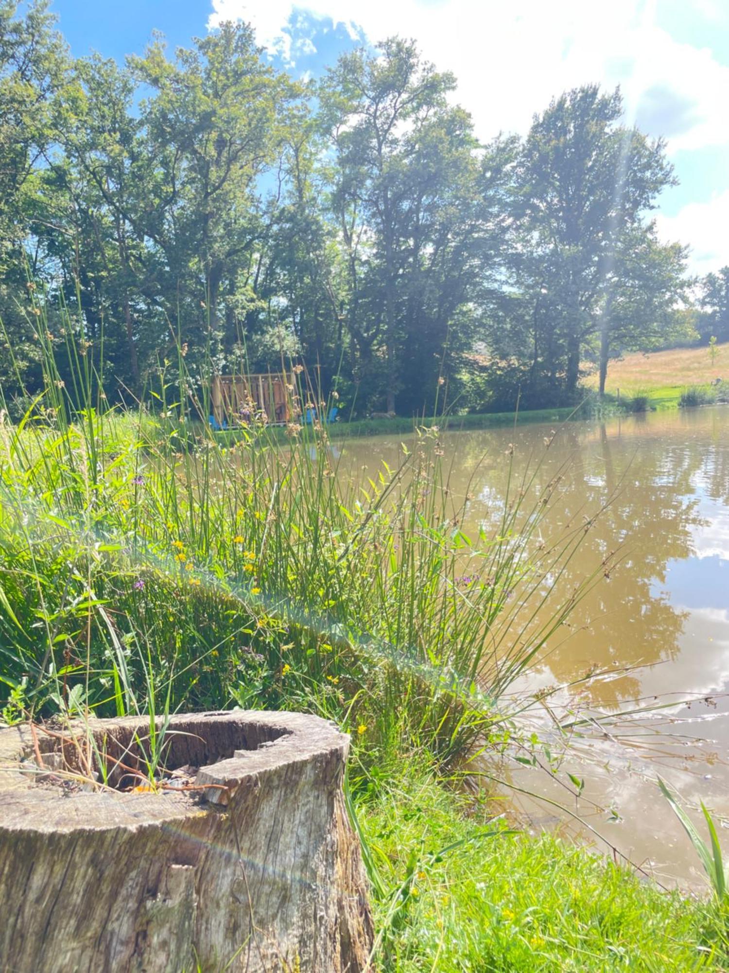 Gite Neuf Avec Jardin, Foret Et Etang Argenton Sur Creuse Exterior photo